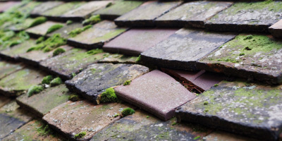 Brill roof repair costs